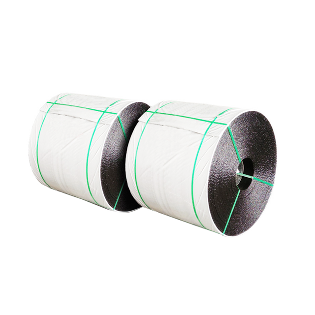 Cintas transportadoras de NN